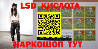 эйфоретик Малгобек