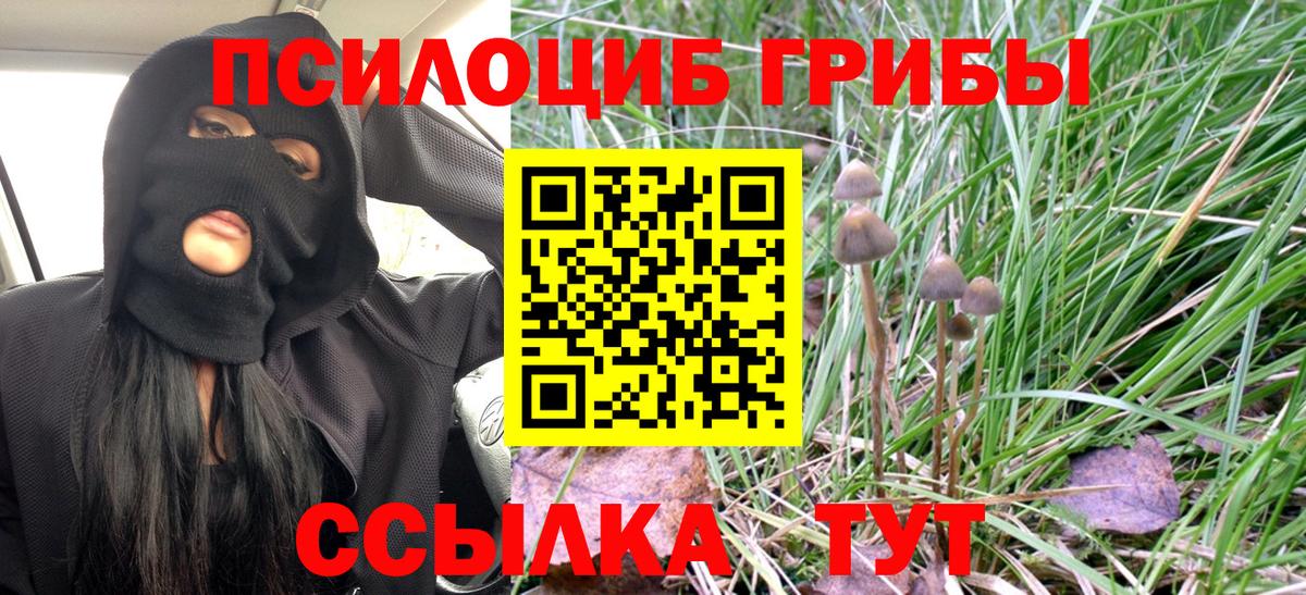 Псилоцибиновые грибы прущие грибы Заводоуковск