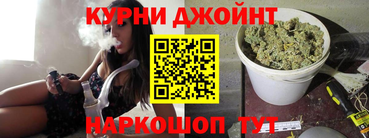 МАРИХУАНА план  Шишки марихуана THC 21%  Заводоуковск  Вход с VPN 
